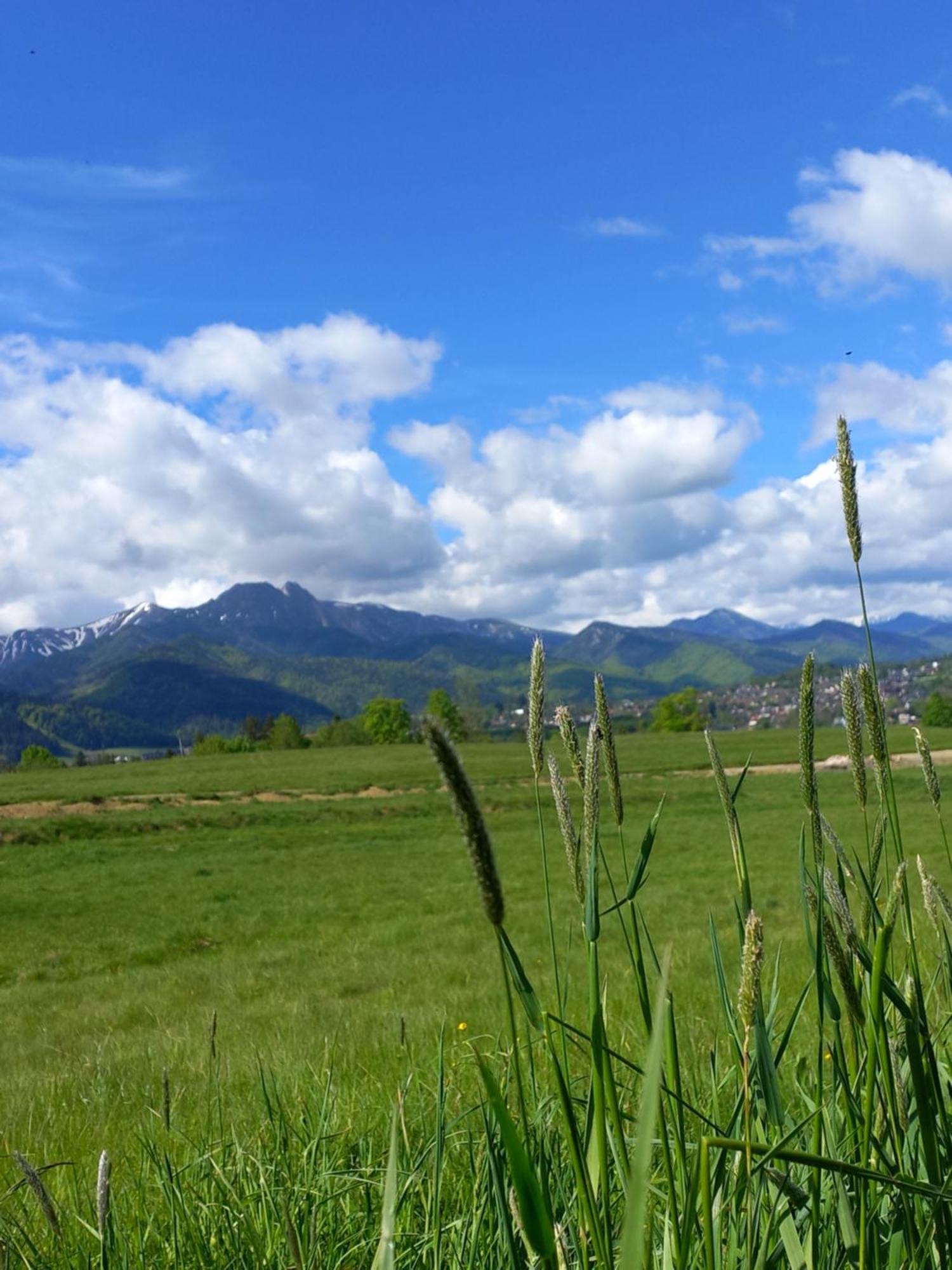 Domki Na Gawlakach Zakopane Værelse billede